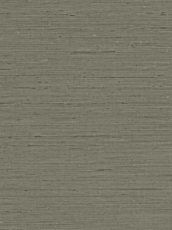 Seahaven Rushcloth fabric in black pepper color - pattern number TS80706 - by Seabrook in the Even More Textures collection