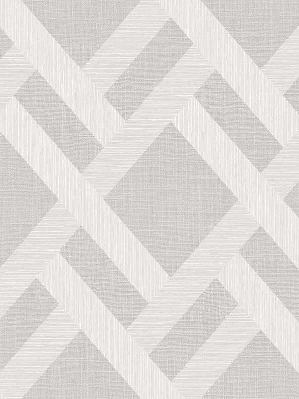 Linen Trellis fabric in pavestone color - pattern number TS80808 - by Seabrook in the Even More Textures collection