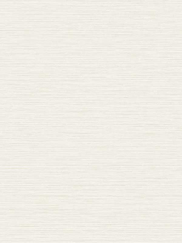 Silk wallpaper in blanch color - pattern number TS81413 - by Seabrook in the Even More Textures collection