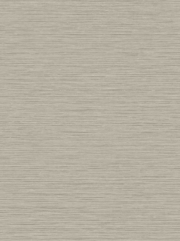Silk wallpaper in golden sable color - pattern number TS81427 - by Seabrook in the Even More Textures collection