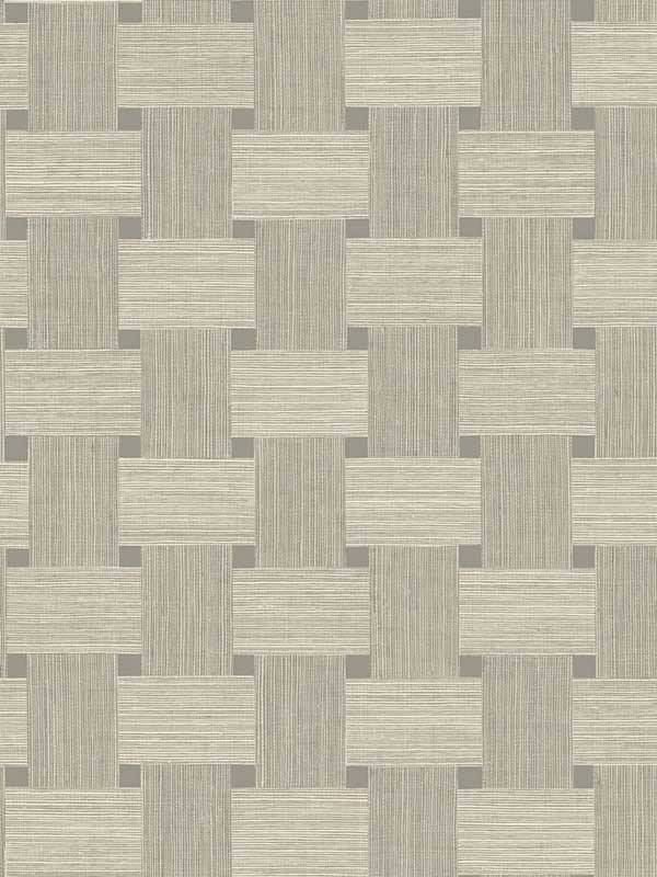Basketweave fabric in yerba color - pattern number TS81805 - by Seabrook in the Even More Textures collection