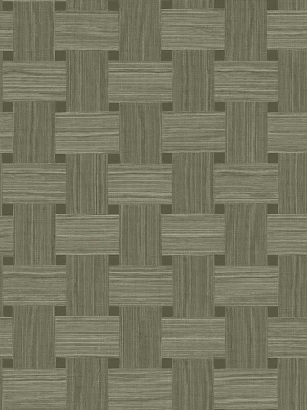 Basketweave fabric in raw umber color - pattern number TS81815 - by Seabrook in the Even More Textures collection