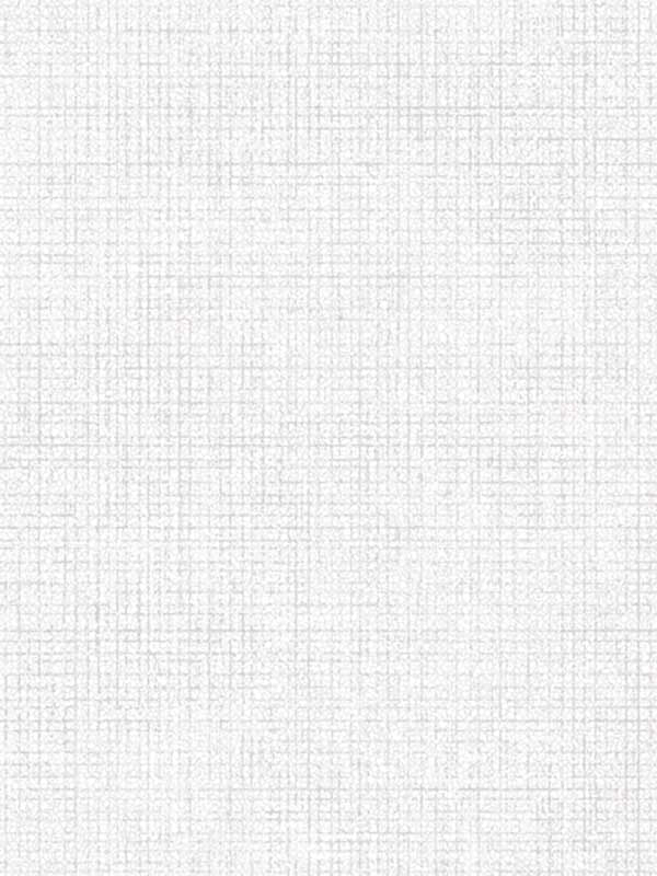 Etched Surface fabric in venetian white color - pattern number WTP4025.WT.0 - by Winfield Thybony in the Thom Filicia Cultivated Living collection
