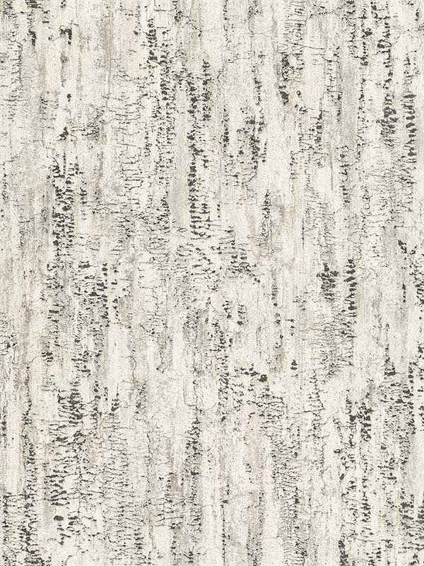 Colm Birch fabric in charcoal color - pattern number 4096-554045 - by Advantage in the Concrete collection