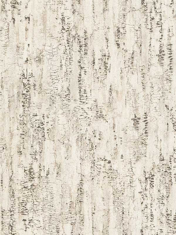 Colm Birch fabric in beige color - pattern number 4096-554052 - by Advantage in the Concrete collection