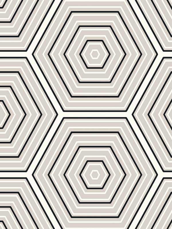 Hex Topography fabric in cove grey and ebony color - pattern number ET11900 - by Seabrook in the Etten Studios Geometrics collection