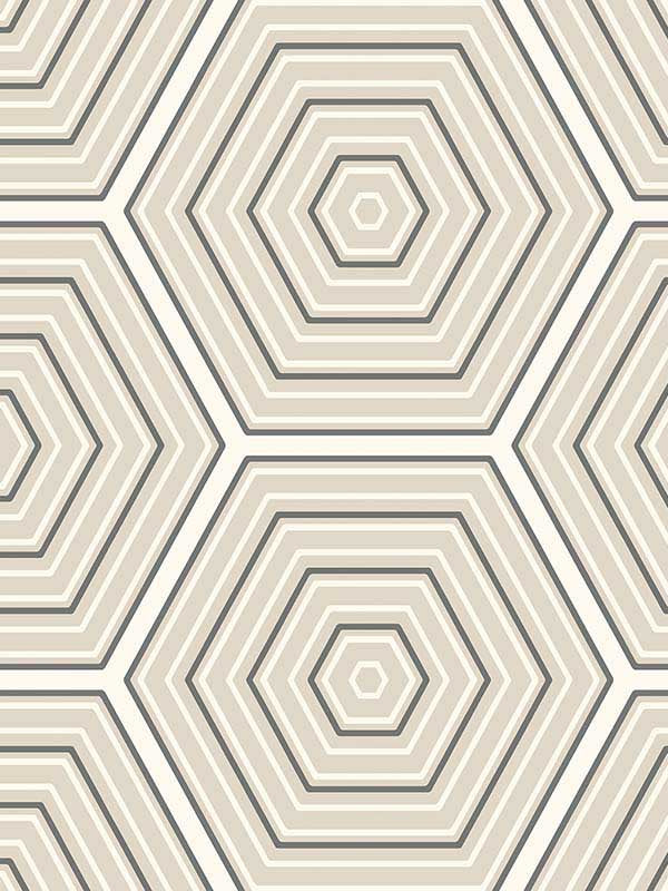 Hex Topography fabric in lunar rock and argos grey color - pattern number ET11905 - by Seabrook in the Etten Studios Geometrics collection