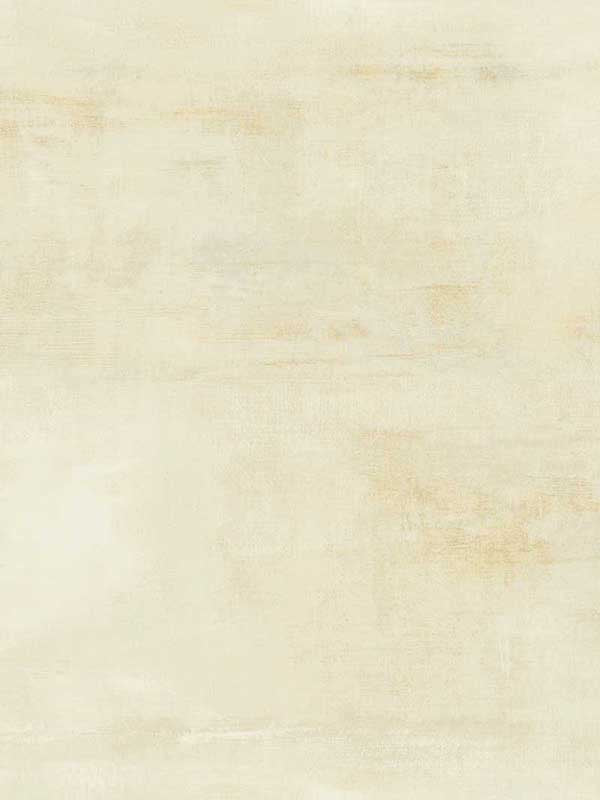 Salt Flats fabric in desert color - pattern number CC1221 - by York Designer Series in the Carol Benson Cobb Signature Wallcoverings collection