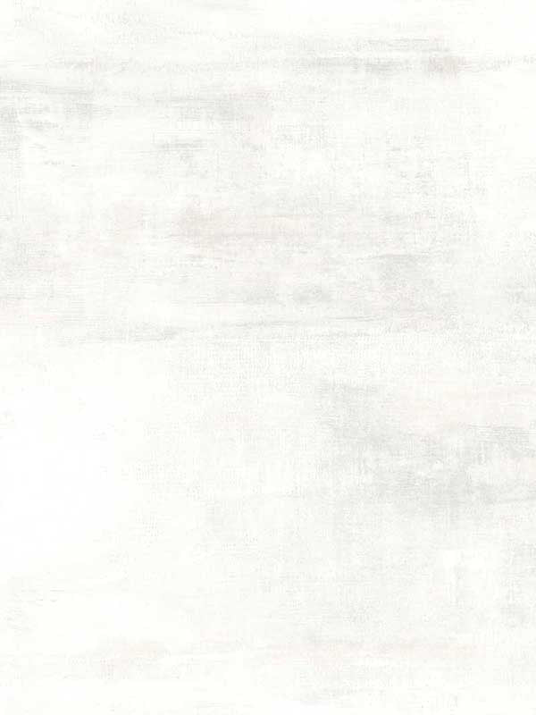 Salt Flats fabric in white and grey color - pattern number CC1224 - by York Designer Series in the Carol Benson Cobb Signature Wallcoverings collection