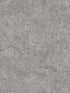 Colt Cement fabric in grey color - pattern number 4125-26753 - by Advantage in the Fusion by Advantage collection