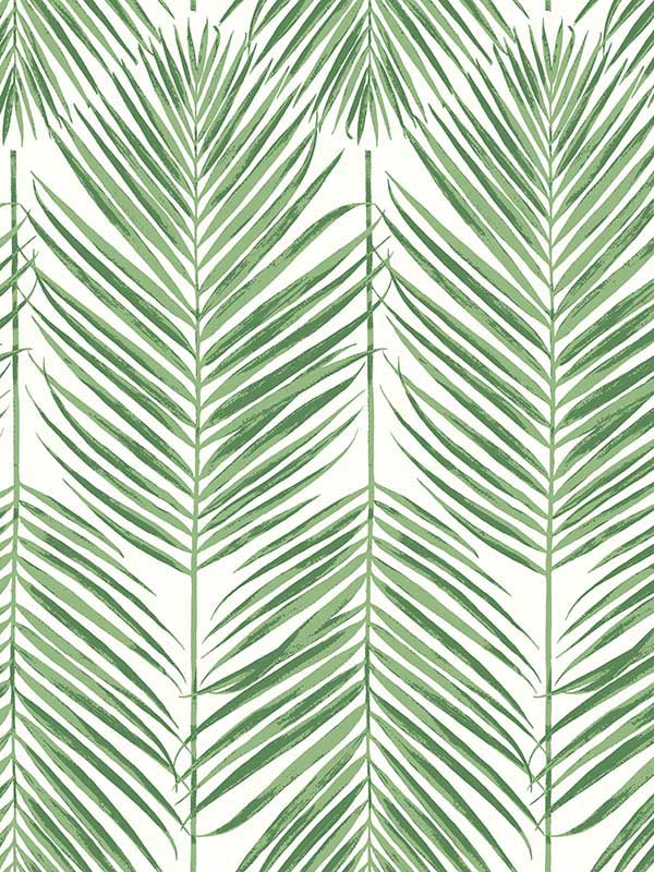 Casa Mia Paradise Palm Peel and Stick wallpaper in green color - pattern number RM21704 - by Casa Mia in the Peel and Stick Wallpaper by Casa Mia collection