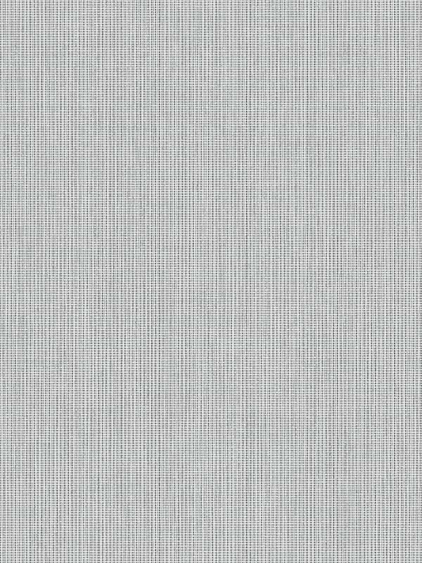 Queens Weave wallpaper in alloy color - pattern number DC61003 - by Collins and Company in the Deco 2 collection