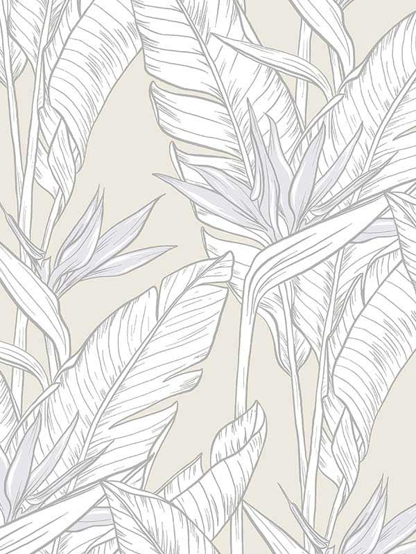 Birds of Paradise Peel and Stick fabric in pearl grey and metallic silver color - pattern number SG11905 - by NextWall in the Peel and Stick Wallpaper by Stacy Garcia Sojourn Collection 3 collection