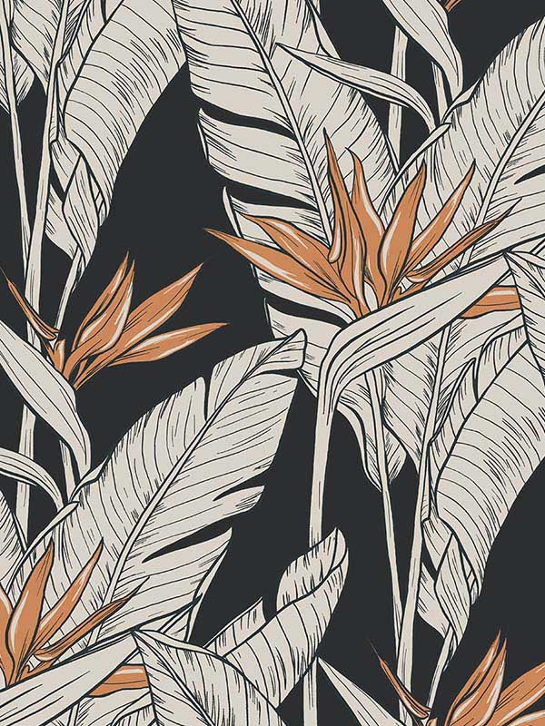 Birds of Paradise Peel and Stick fabric in onyx and metallic copper color - pattern number SG11910 - by NextWall in the Peel and Stick Wallpaper by Stacy Garcia Sojourn Collection 3 collection