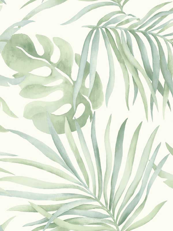 Paradise Palm Peel and Stick wallpaper in aloe color - pattern number PSW1413RL - by Candice Olson in the Simply Candice Peel and Stick Wallpaper collection