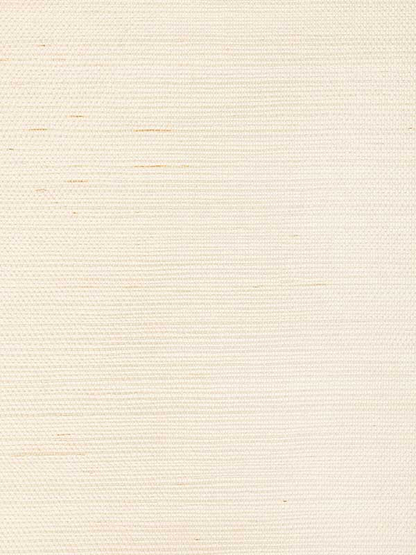 Luxe Sisal fabric in bone color - pattern number W3830.1.0 - by Kravet in the Modern Luxe collection