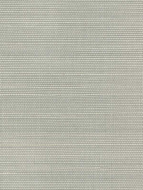 Luxe Sisal fabric in grey color - pattern number W3830.11.0 - by Kravet in the Modern Luxe collection