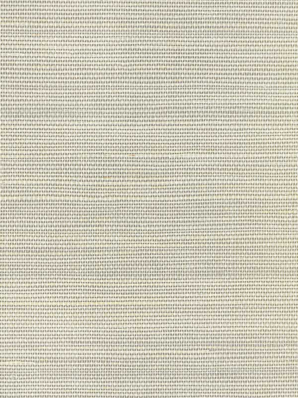 Luxe Sisal fabric in ice color - pattern number W3830.1101.0 - by Kravet in the Modern Luxe collection