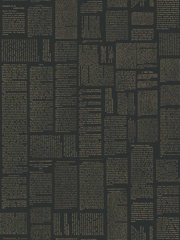 Crafted Editorial Peel and Stick wallpaper in black and gold metallic color - pattern number PSW1496RL - by Magnolia Home by Joanna Gaines in the Magnolia Home Peel and Stick Wallpaper collection