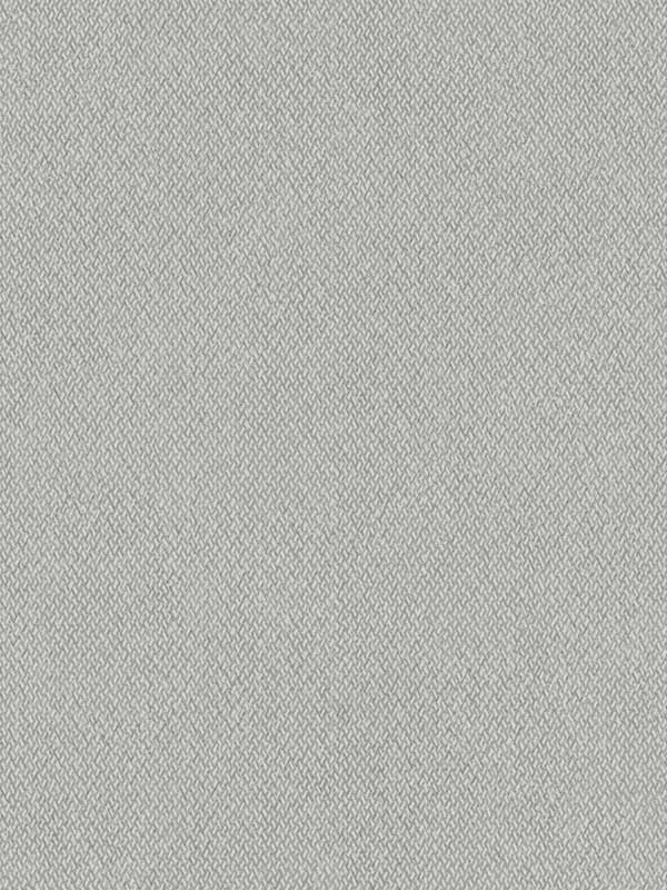 Give and Take fabric in grey and beige color - pattern number ND3022N - by York in the Natural Digest collection