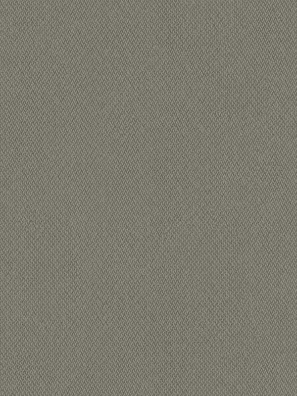 Give and Take fabric in brown color - pattern number ND3025N - by York in the Natural Digest collection