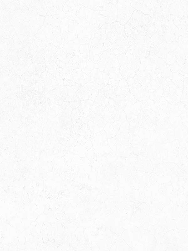 Sandstone fabric in grey color - pattern number G78125 - by Patton Norwall in the Texture FX collection