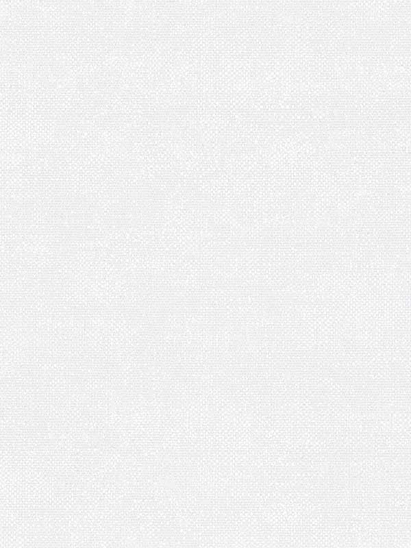 Micro Texture fabric in white opaque light silver color - pattern number G78142 - by Patton Norwall in the Texture FX collection