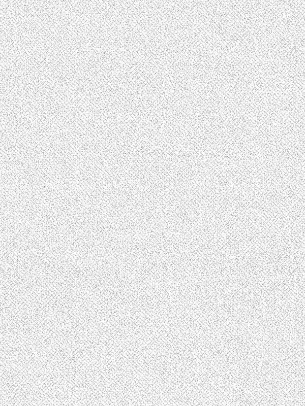 Speckle wallpaper in silver black color - pattern number G78153 - by Patton Norwall in the Texture FX collection