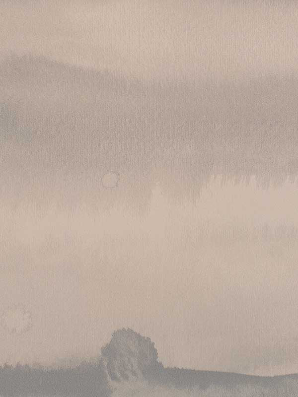 Shoreline fabric in break color - pattern number WDW2174.WT.0 - by Winfield Thybony in the Distinctive Walls collection