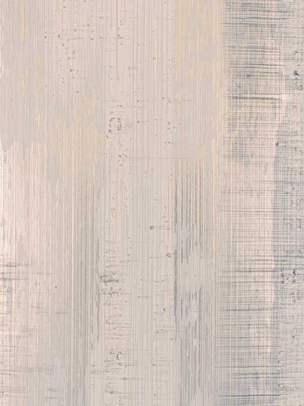 Segal fabric in silver dollar color - pattern number WDW2278.WT.0 - by Winfield Thybony in the Distinctive Walls collection