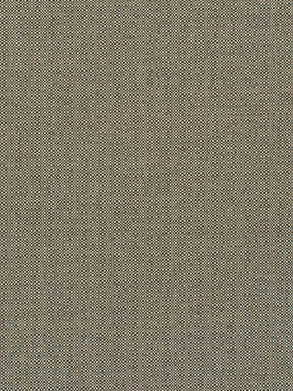 Barron wallpaper in woodland color - pattern number WDW2332.WT.0 - by Winfield Thybony in the Distinctive Walls collection