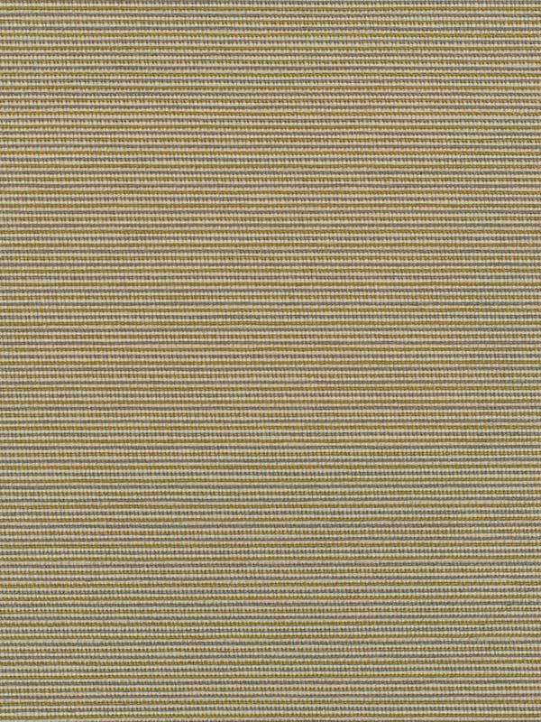 Elza wallpaper in wild rice color - pattern number WDW2338.WT.0 - by Winfield Thybony in the Distinctive Walls collection