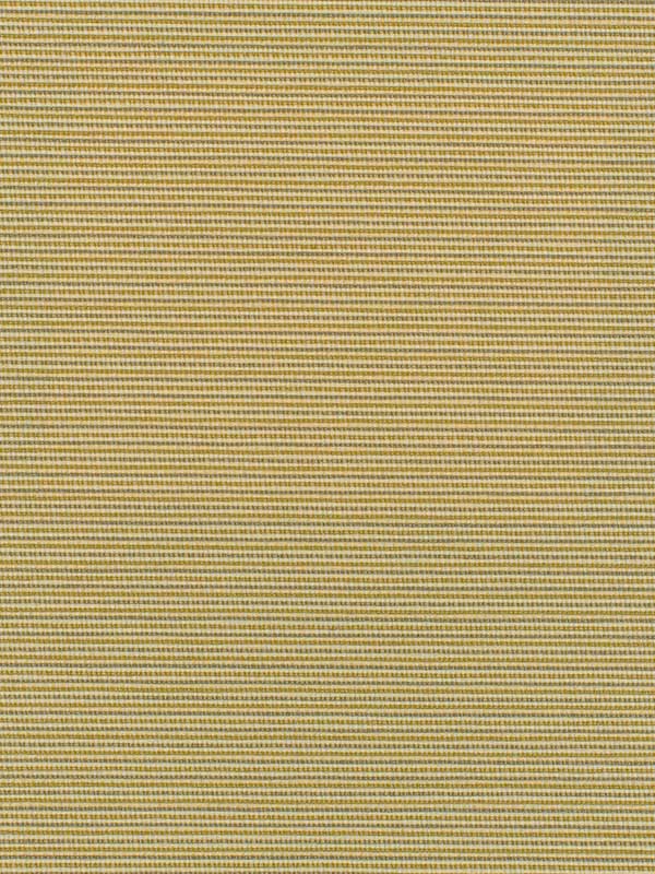 Elza wallpaper in spun silk color - pattern number WDW2342.WT.0 - by Winfield Thybony in the Distinctive Walls collection