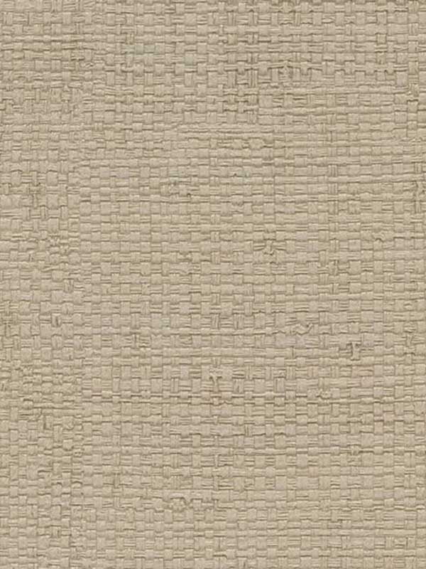 Mura fabric in driftwood color - pattern number WPW1101.WT.0 - by Winfield Thybony in the Performance Vinyls collection