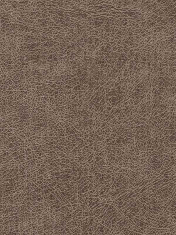 Enduring wallpaper in bronco color - pattern number WPW1120.WT.0 - by Winfield Thybony in the Performance Vinyls collection
