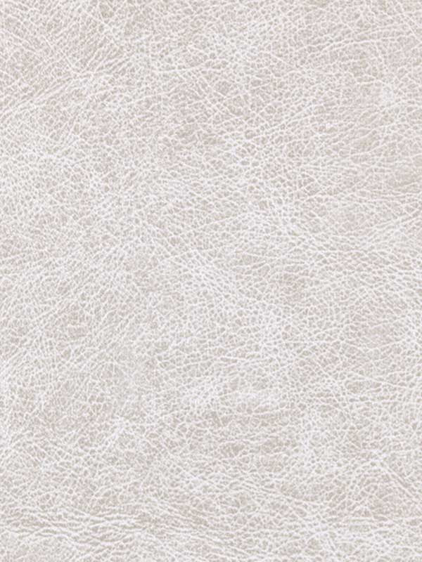 Enduring fabric in luxe color - pattern number WPW1122.WT.0 - by Winfield Thybony in the Performance Vinyls collection
