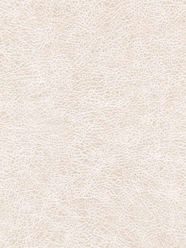 Enduring fabric in desert color - pattern number WPW1123.WT.0 - by Winfield Thybony in the Performance Vinyls collection
