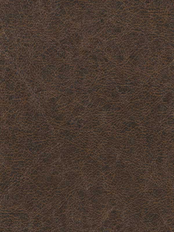 Enduring fabric in chestnut color - pattern number WPW1133.WT.0 - by Winfield Thybony in the Performance Vinyls collection