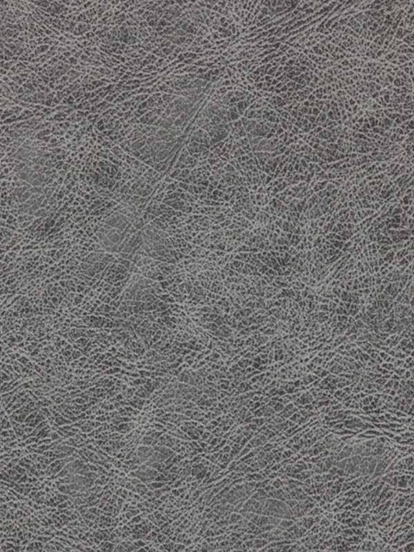 Enduring fabric in charcoal color - pattern number WPW1134.WT.0 - by Winfield Thybony in the Performance Vinyls collection