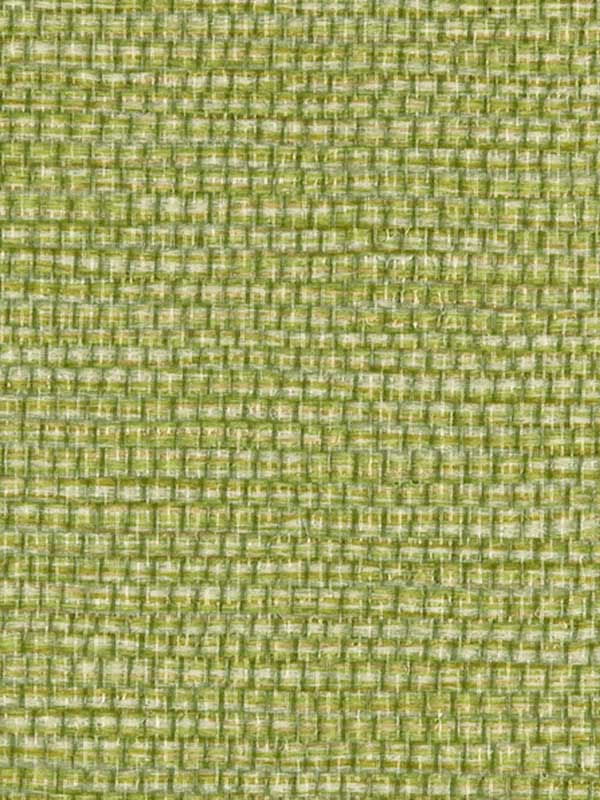 Panama fabric in envy color - pattern number WPW1146.WT.0 - by Winfield Thybony in the Performance Vinyls collection