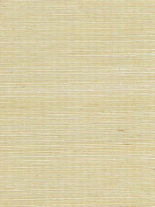 Acapella wallpaper in ore color - pattern number WNW2247.WT.0 - by Winfield Thybony in the Symphony Textures collection