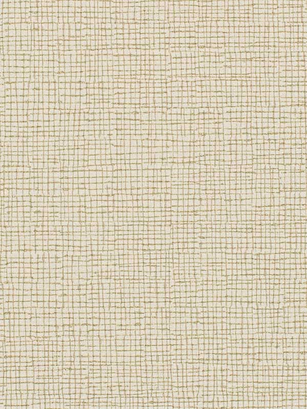 Canvas fabric in dune color - pattern number WTN1012.WT.0 - by Winfield Thybony in the Taniya Nayak collection