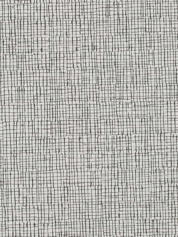 Canvas fabric in graphite color - pattern number WTN1018.WT.0 - by Winfield Thybony in the Taniya Nayak collection