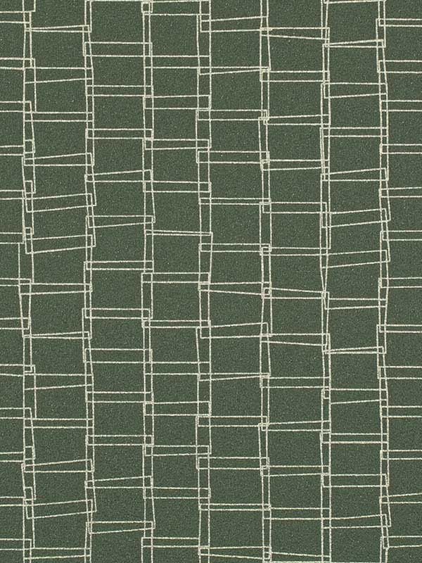Looped wallpaper in forest color - pattern number WTN1087.WT.0 - by Winfield Thybony in the Taniya Nayak collection
