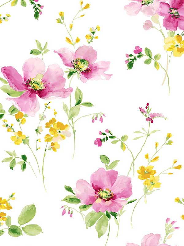 Watercolor Windflower Peel and Stick wallpaper in cerise pink and marigold color - pattern number NW42201 - by NextWall in the Peel and Stick Wallpaper by Nextwall collection