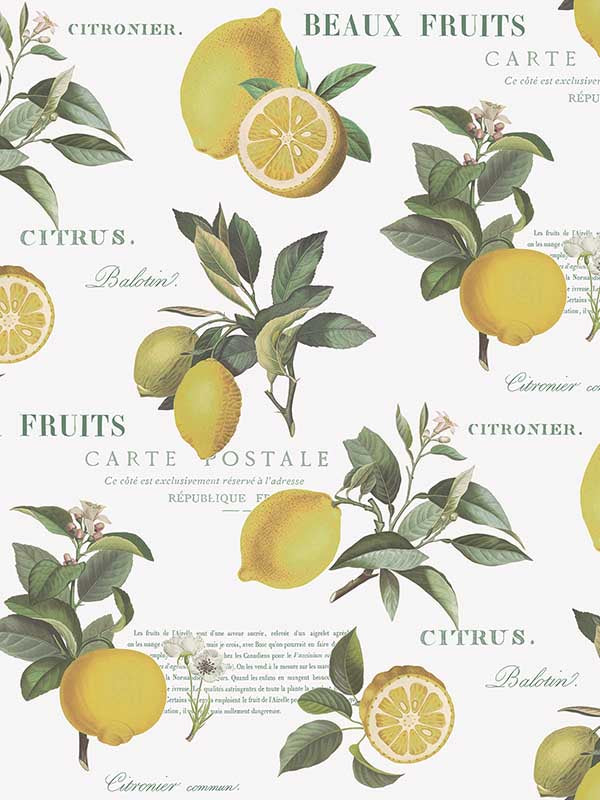 Citron Botanical fabric in yellow green white color - pattern number G45409 - by Galerie in the Just Kitchens collection