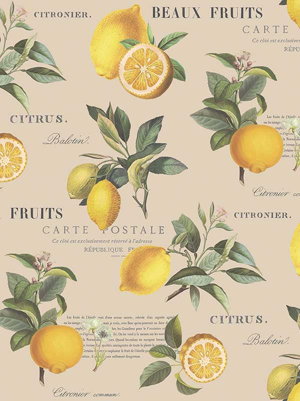 Citron Botanical fabric in taupe color - pattern number G45410 - by Galerie in the Just Kitchens collection
