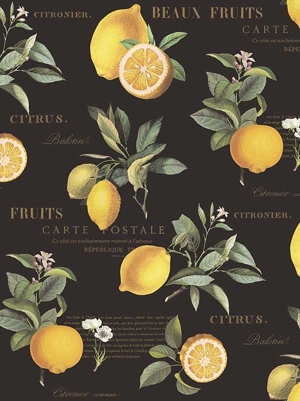 Citron Botanical fabric in black yellow color - pattern number G45411 - by Galerie in the Just Kitchens collection