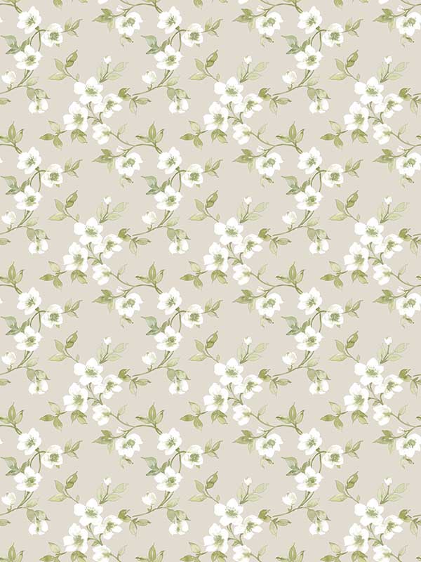 Anenome Mini fabric in taupe green color - pattern number G78488 - by Galerie in the Secret Garden collection