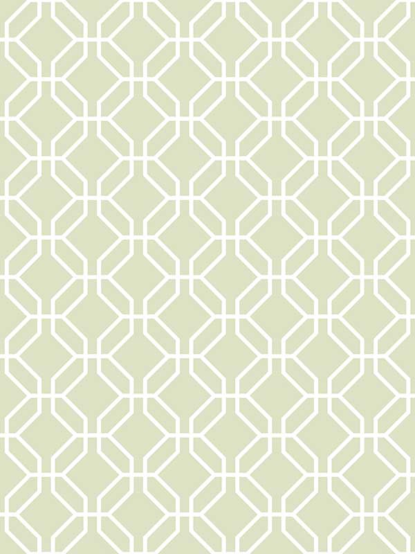 Trellis Negative fabric in sage green color - pattern number G78523 - by Galerie in the Secret Garden collection
